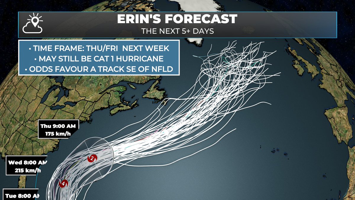 Eddie Sheerr tweet media