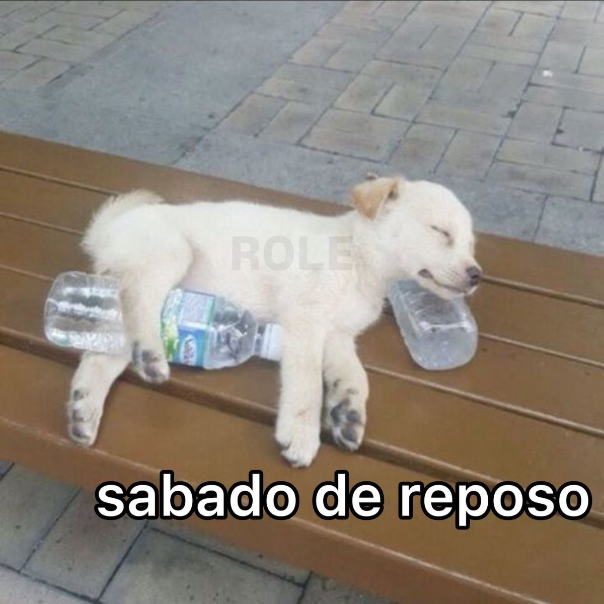 o caba n é de ferro