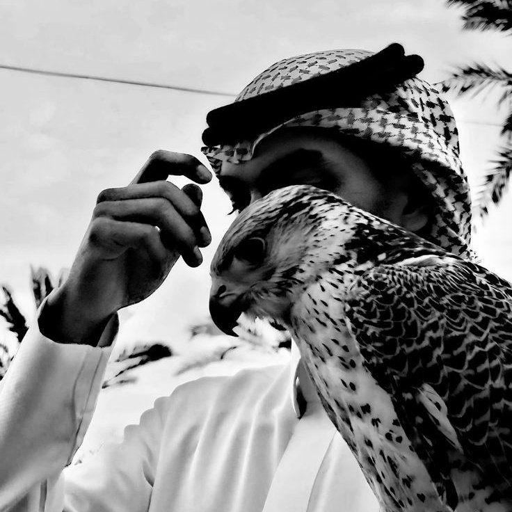 سيف سيف tweet media
