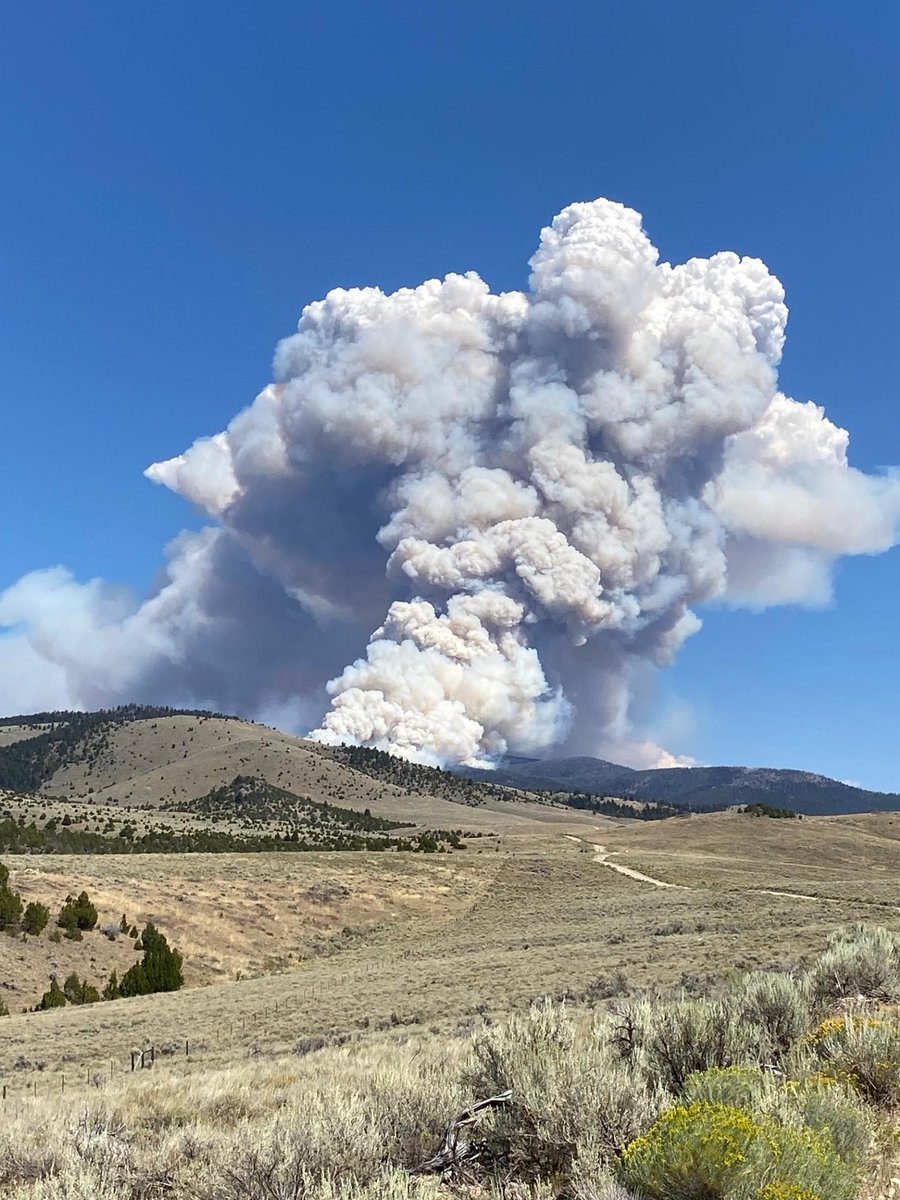 NWS_IMET_OPS's tweet photo. . @NWSMissoula IMET en route to #BivensCreekFire near Virginia City, MT #MTwx #MTFires @BvrhdDrldgeNF https://t.co/IlfFHKeDhU Photo courtesy Inciweb https://t.co/Fo627qJOtu