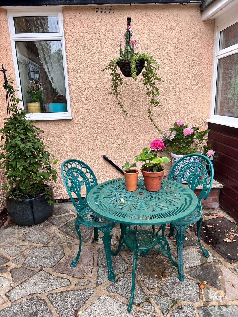 So much fun in the garden this year so far. Lavender, fruits and vegetables, aromatic herbs,  hydrangeas propagating project, homemade compost 🪏 🪴