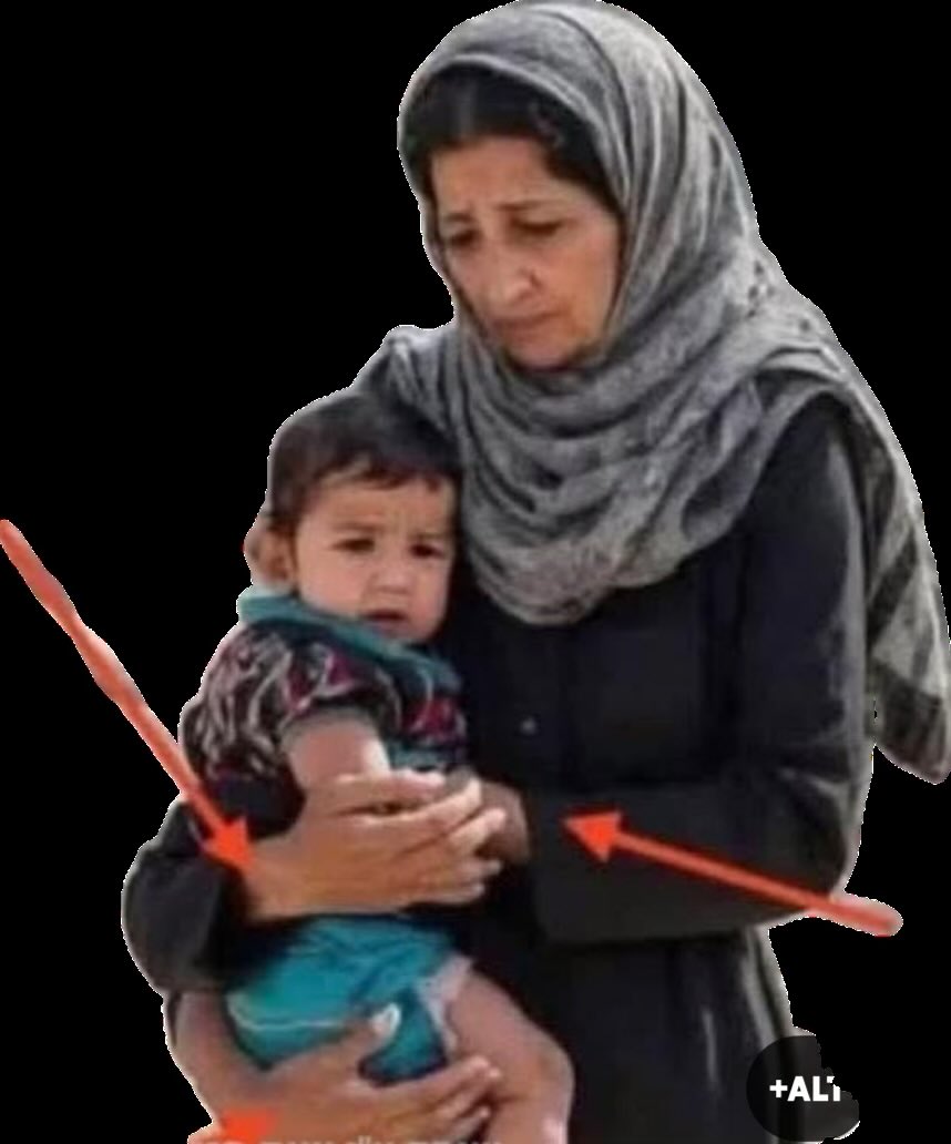 Meyer Habib tweet media