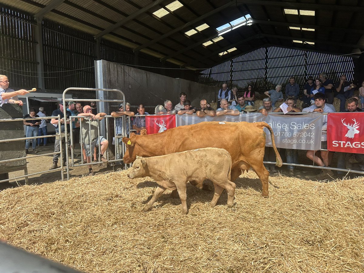 James Wright tweet media