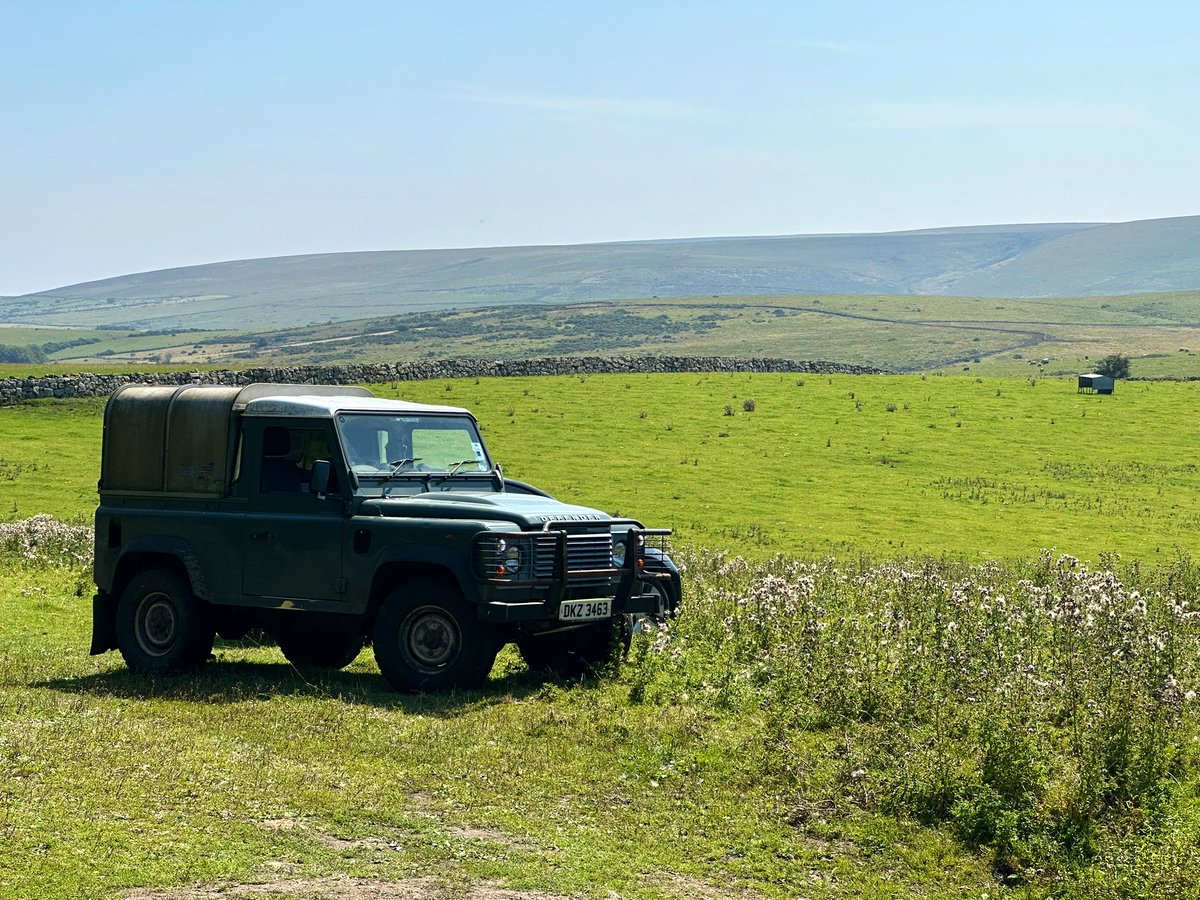 James Wright tweet media