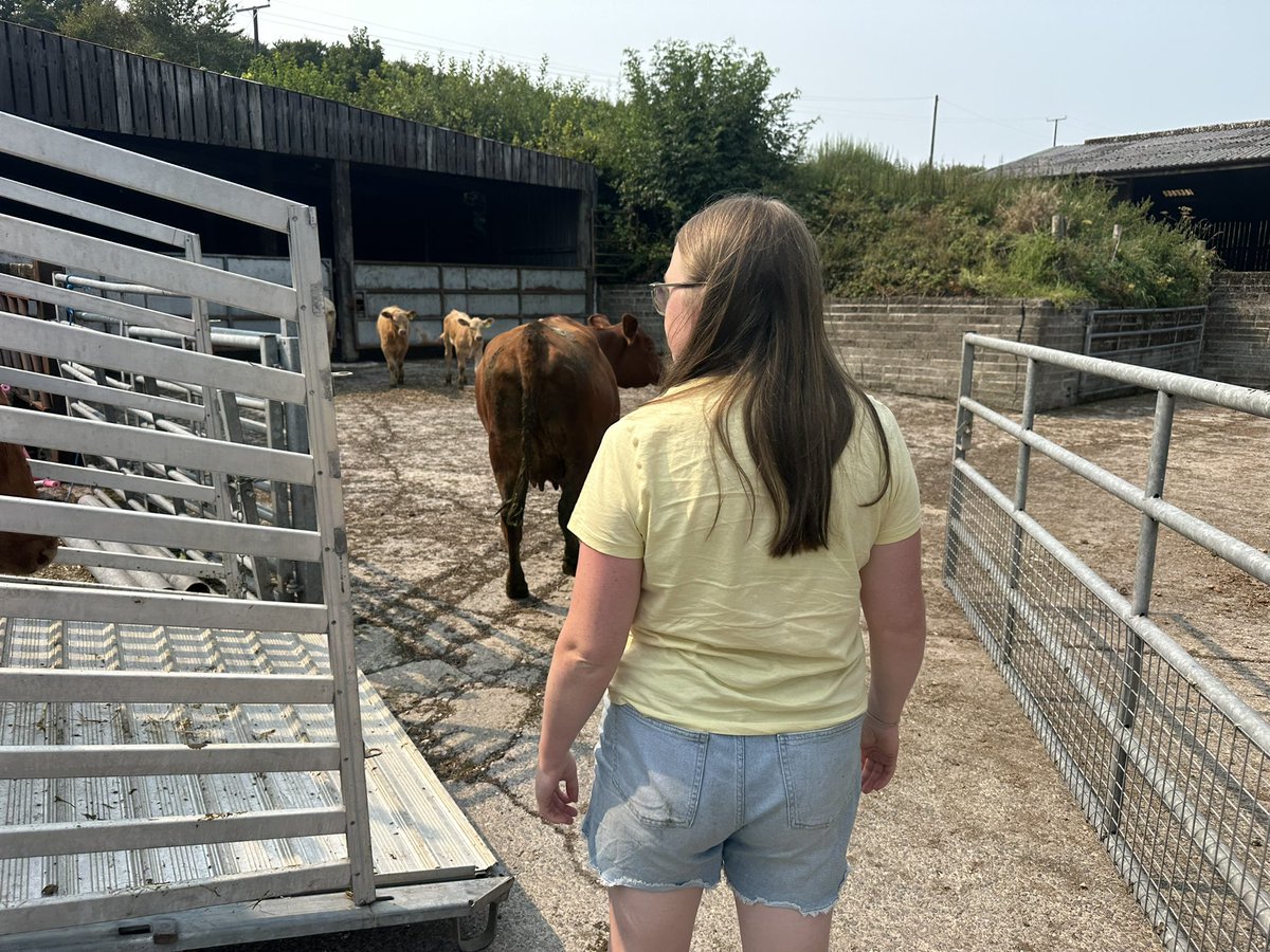 James Wright tweet media