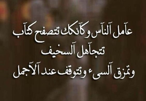 الـنـــايـف tweet media