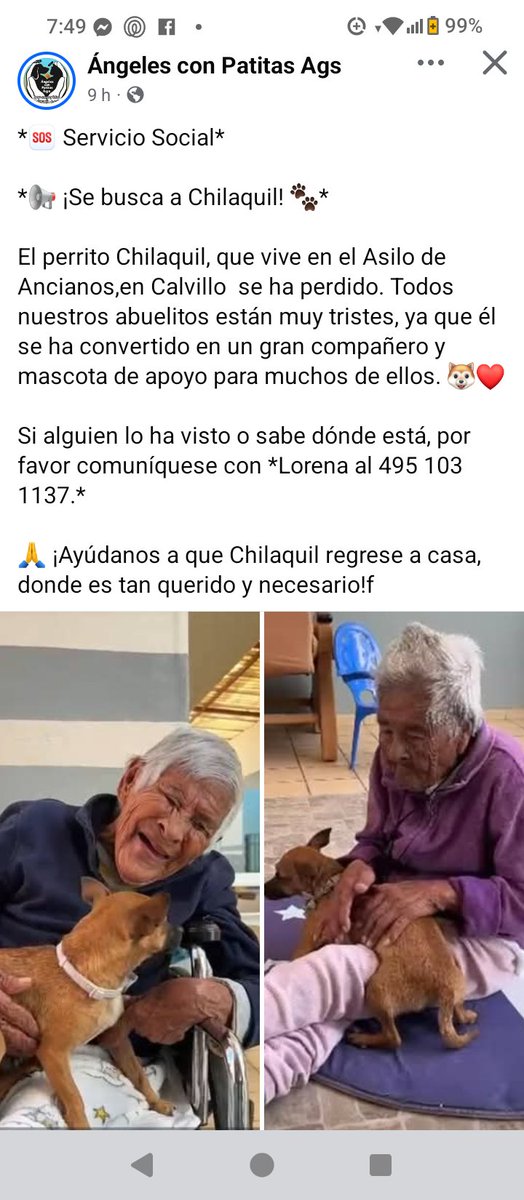 ACARA (@marcemgffvg) on Twitter photo Se perdió Chilaquil y lo buscaba vive en el Asilo de Ancianos de Calvillo, México
Pedimos se comparta
El contacto Lorena 495-1031137
<a href="/nydiacervera/">Nydia Cervera</a> <a href="/mujersina/">Eva</a> <a href="/gllgina1/">Gina..🌷</a> <a href="/SOSsalchichas/">Salchibukis …🆘 salchichas al rescate</a> <a href="/LicAnimalista/">Abogado Animalista</a> <a href="/reporteroanimal/">El Reportero Animal</a>
#DerechoAnimal #Calvillo #Mexico Se perdió Chilaquil y lo buscaba vive en el Asilo de Ancianos de Calvillo, México
Pedimos se comparta
El contacto Lorena 495-1031137
<a href="/nydiacervera/">Nydia Cervera</a> <a href="/mujersina/">Eva</a> <a href="/gllgina1/">Gina..🌷</a> <a href="/SOSsalchichas/">Salchibukis …🆘 salchichas al rescate</a> <a href="/LicAnimalista/">Abogado Animalista</a> <a href="/reporteroanimal/">El Reportero Animal</a>
#DerechoAnimal #Calvillo #Mexico