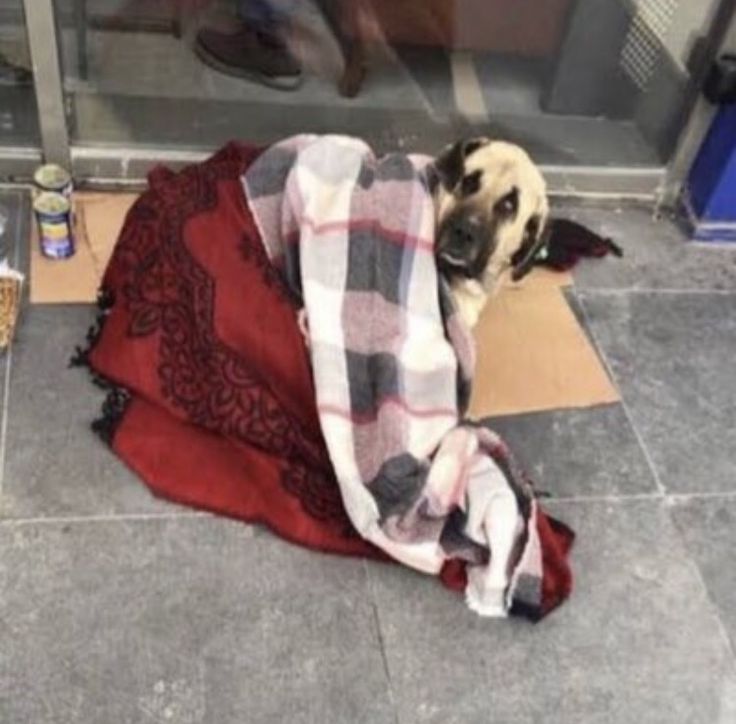 nerde olursak olalim evimiz disinda bir yerde yatinca sabah bizim garibalik
