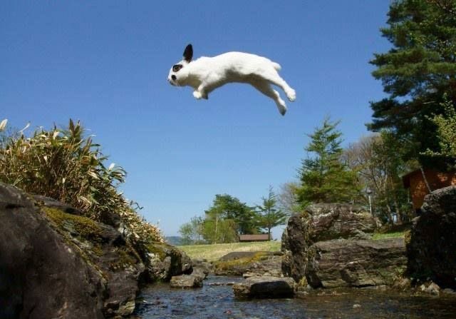 okniloo's tweet image. De esto se trata la vida