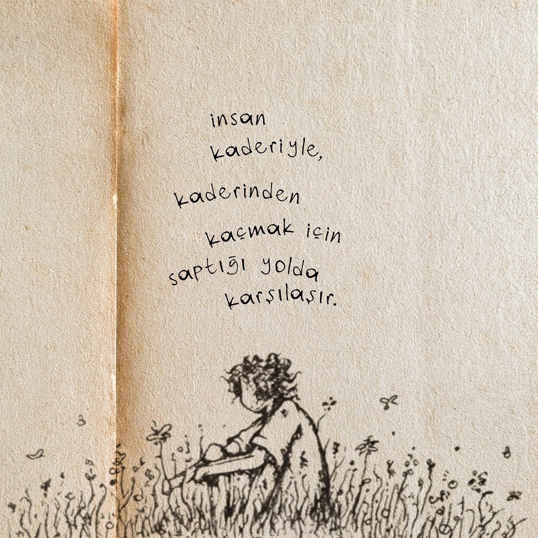 | kader.
