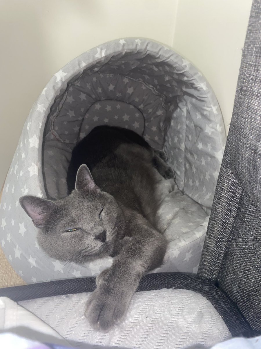 Dünyanın en güzel bebeği..