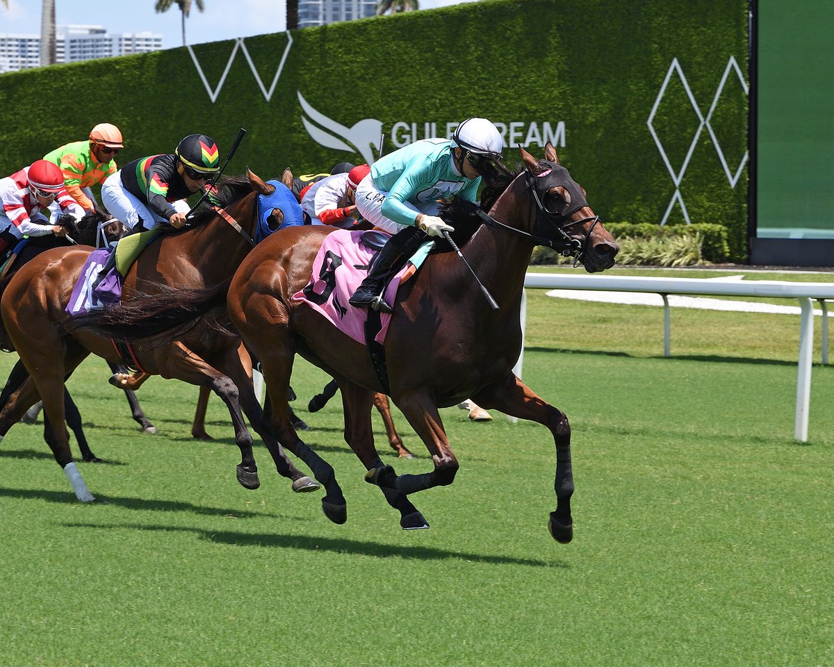 Gulfstream Park (@gulfstreampark) on Twitter photo Disattached gets the job done in the second race, <a href="/LPanici/">Luca Panici</a> at the reins for trainer <a href="/hlynnsm/">Heather Smullen</a>. #GulfstreamPark #RoyalPalmMeet Disattached gets the job done in the second race, <a href="/LPanici/">Luca Panici</a> at the reins for trainer <a href="/hlynnsm/">Heather Smullen</a>. #GulfstreamPark #RoyalPalmMeet