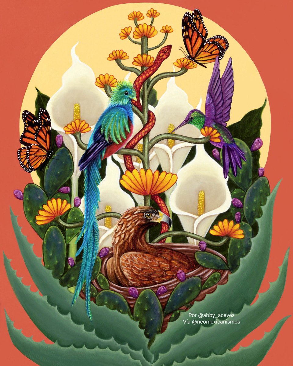 Tierra de magueyes :::: por @abby_aceves #neomexicanismos