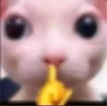 Que bonito se siente que tú propia cabeza te diga que no puedes pero ahorita que estoy haciendo tryouts en varios equipos me di cuenta que en realidad no estoy tan mal, muchas gracias a todas aquellas personas que me ayudan a creermelo &lt;3 a seguir mejorando carajo.