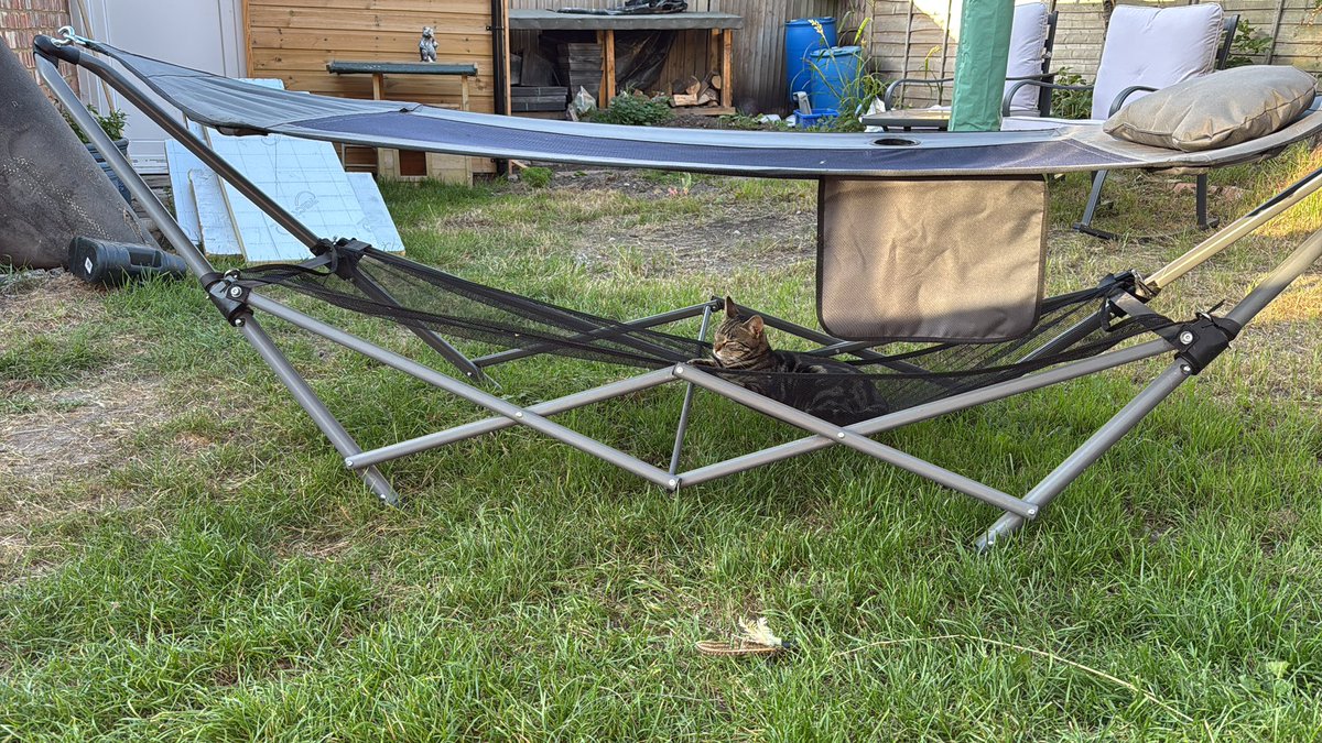 T0350X's tweet photo. @AldiUK Luna loving the cat hammock with sun shade recently purchased from the middle aisle. https://t.co/rPFyicEgso