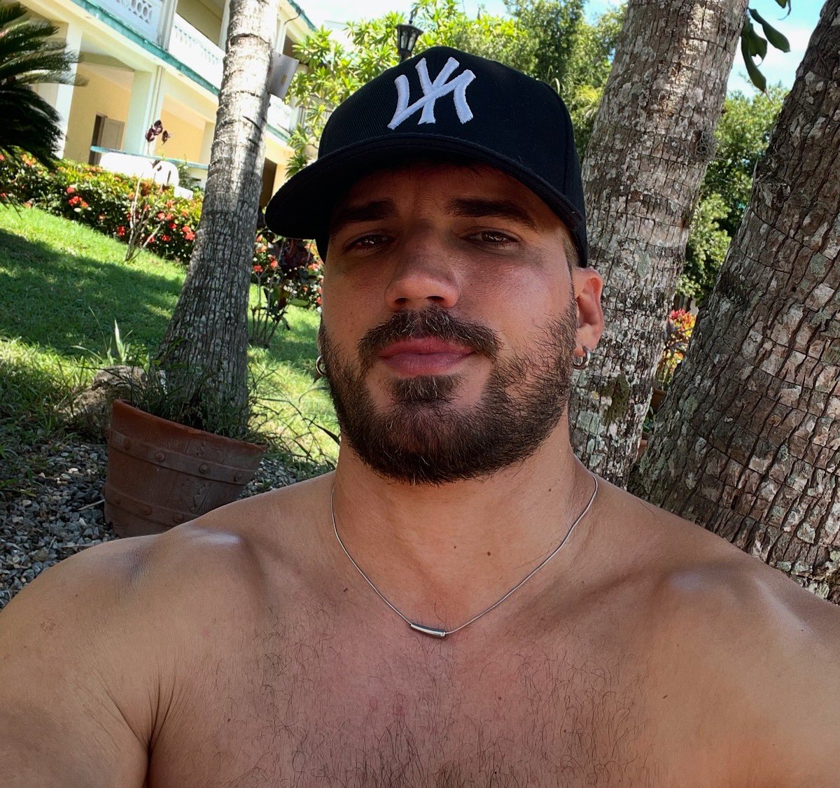 David Arencibia tweet media
