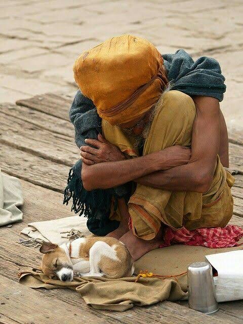 This picture says it all, removing these innocent souls is like removing our own humanity.

#SaveDelhiDogs #SaveDelhiNCRDogs