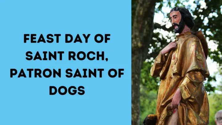DogTipper's tweet image. Today is the Feast Day of Saint Roch, the patron saint of dogs! dogtipper.com/feast-day-of-s… #SaintRoch #StRoch