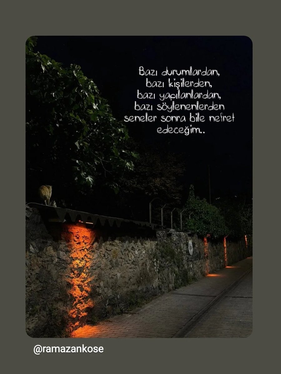 Fatma Yağız (@ygz_ftma43) on Twitter photo 