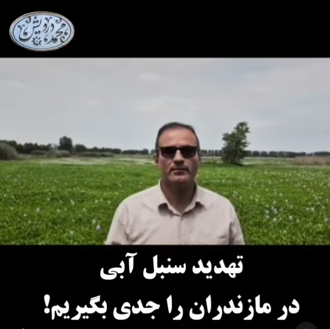 darvish100's tweet photo. صدای جواد یعقوب‌زاده باشیم، اگر نمی‌خواهیم سرنوشت تالاب‌ها و آب‌بندان‌های مازندران به عقوبت تلخ همتاهاشان در گیلان پیوند خورده و قربانی آفت مهاجم و خطرناک اما زیبارویی به نام سنبل آبی شوند!
https://t.co/gAiQBZOdar https://t.co/muMRGNCYb4