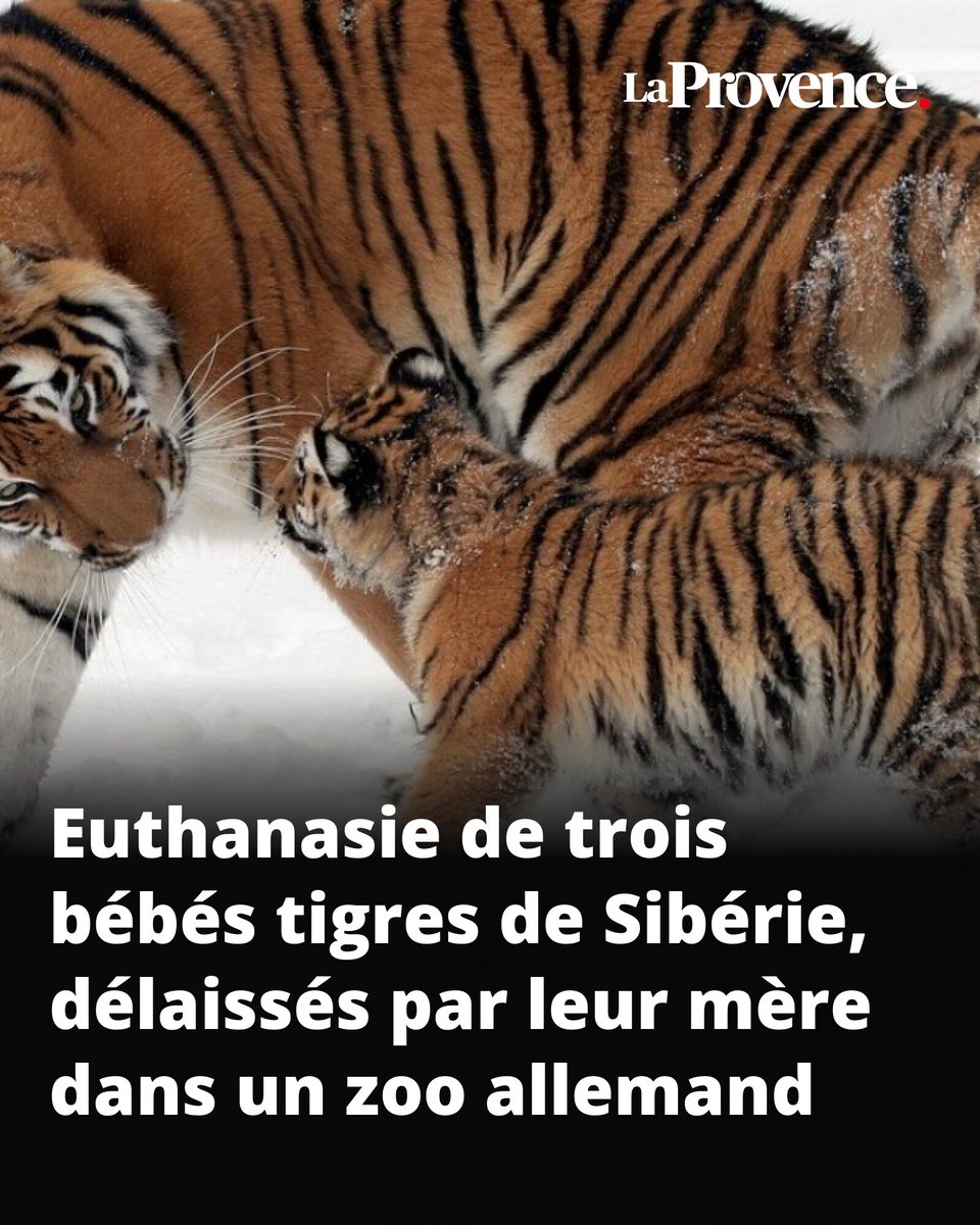 La Provence tweet media