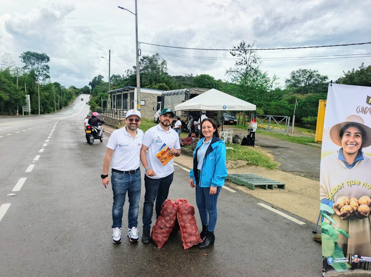 SecEducaCundi's tweet photo. Hoy nuestro equipo se puso la ruana en el Peaje Siberia 🍃🥔. Acompañamos a pequeños productores junto a @fondecunoficial y @CundiAgro, logrando vender el 100% de su cosecha.
¡Somos #CundiPapa! 💛💙❤️ https://t.co/XhcgrT2W8R