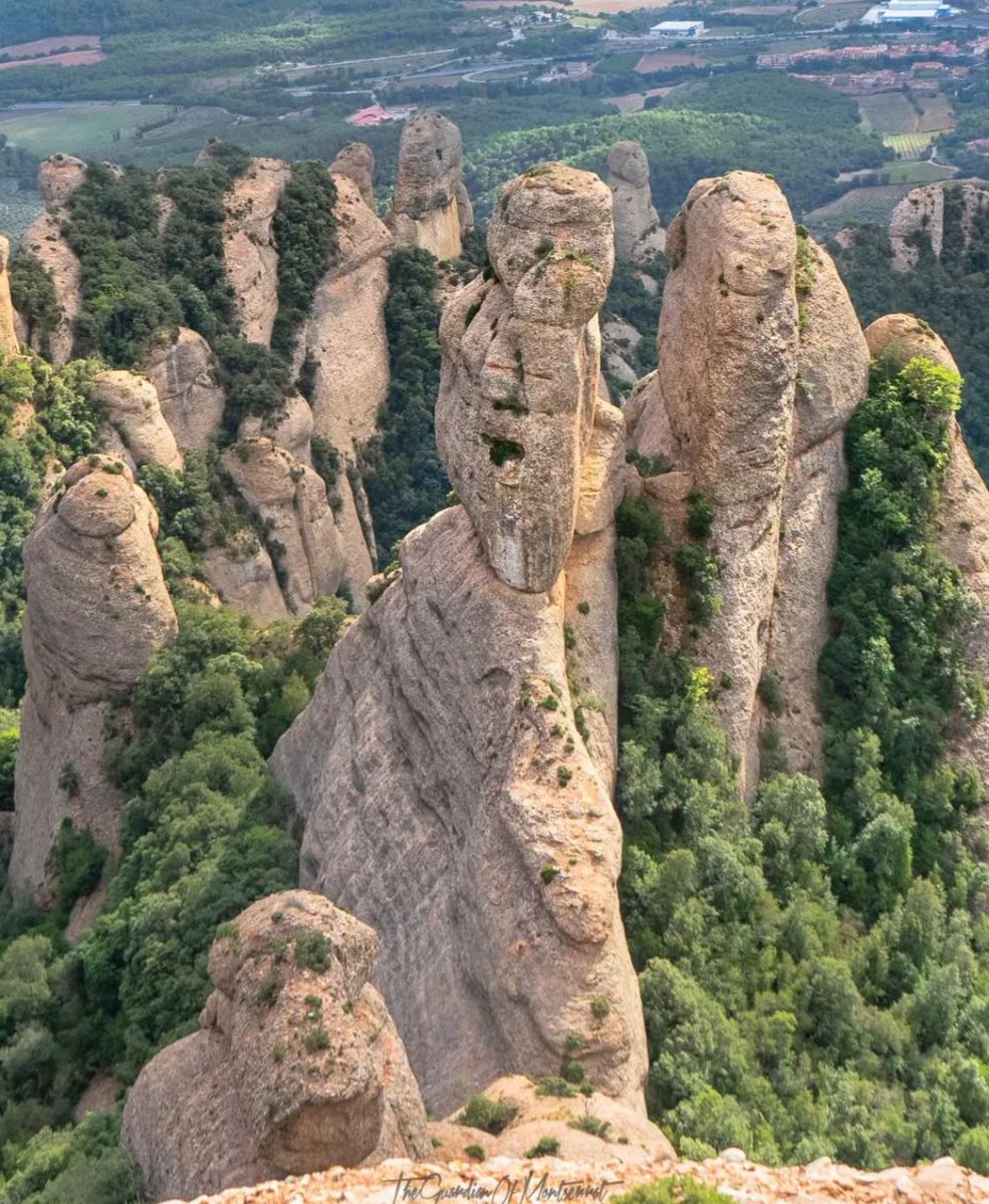 Anoia Turisme (@anoia_turisme) on Twitter photo 🙏 Gràcies a tots els que compartiu racons i moments de la nostra comarca amb el hashtag #anoiaturisme.
Avui destaquem tres mirades úniques:
📸 <a href="/joanserrallonga/">Juan sala frances</a>
📸 @theguardianofmontserrat
📸 @1975_since
#anoiaturisme #descobreixlanoia #slowtourism #bcnesmoltmes 🙏 Gràcies a tots els que compartiu racons i moments de la nostra comarca amb el hashtag #anoiaturisme.
Avui destaquem tres mirades úniques:
📸 <a href="/joanserrallonga/">Juan sala frances</a>
📸 @theguardianofmontserrat
📸 @1975_since
#anoiaturisme #descobreixlanoia #slowtourism #bcnesmoltmes