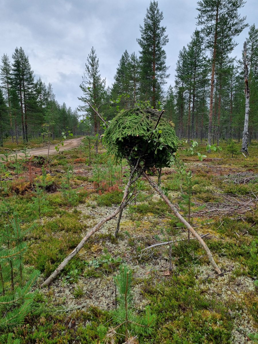 Hannu Koivisto (@hannu_koivisto) on Twitter photo @mpkpohjoissuomi SYYS ROVA 25 iso joukko reserviläisiä kouluttamassa ja kouluttautumassa <a href="/JaakariPR/">Jääkäriprikaati</a> tuella. #reserviläinenkouluttaareserviläistä #reservissävoima #vapaaehtoinenmaanpuolustus @mpkkoulutus @mpkpohjoissuomi SYYS ROVA 25 iso joukko reserviläisiä kouluttamassa ja kouluttautumassa <a href="/JaakariPR/">Jääkäriprikaati</a> tuella. #reserviläinenkouluttaareserviläistä #reservissävoima #vapaaehtoinenmaanpuolustus @mpkkoulutus