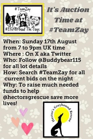 Buddy-Aus and me (@buddybear115) on Twitter photo Hereโs how a #TeamZay auction works, join us tomorrow from 7pm <a href="/hectorsgrescue/">Hectorโs Greyhound Rescue</a> โค๏ธ๐พ Hereโs how a #TeamZay auction works, join us tomorrow from 7pm <a href="/hectorsgrescue/">Hectorโs Greyhound Rescue</a> โค๏ธ๐พ
