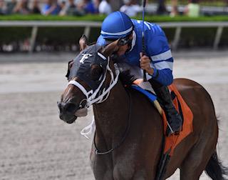 Double Diamond Farm Llc (@firstdudeddf) on Twitter photo Good luck Charlie's Wish & connections race 8 <a href="/GulfstreamPark/">Gulfstream Park</a> .
Owner Royalight Racing Llc, trainer <a href="/fawkesracinginc/">Fawkes Racing Inc</a> & jockey Miguel Angel Vasquez.
Breeder Three Gin Guys Stable (FL)
#FirstDude
Photo Coglianese Good luck Charlie's Wish & connections race 8 <a href="/GulfstreamPark/">Gulfstream Park</a> .
Owner Royalight Racing Llc, trainer <a href="/fawkesracinginc/">Fawkes Racing Inc</a> & jockey Miguel Angel Vasquez.
Breeder Three Gin Guys Stable (FL)
#FirstDude
Photo Coglianese