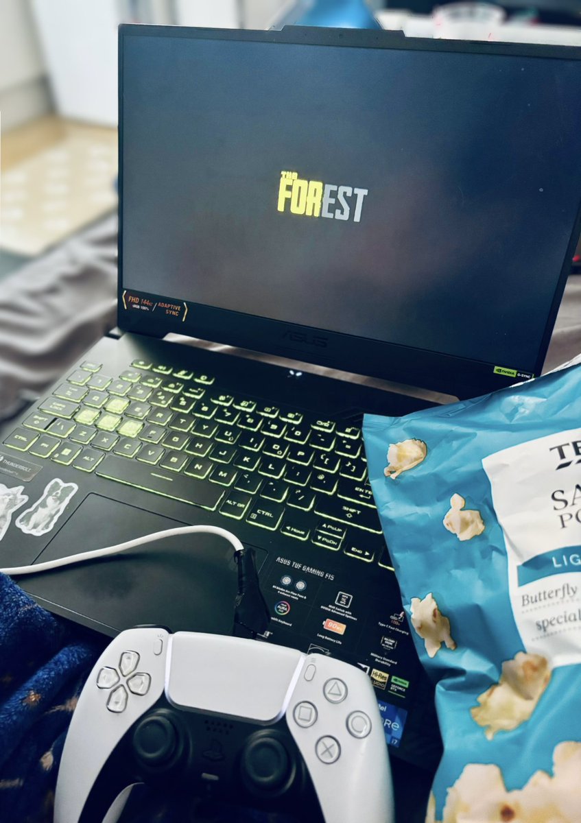 Ninjaacaitz's tweet image. A Saturday spent playing The Forest! 🌲

I played a little of Sons of the Forest a couple years back, but haven’t played the OG! 

Has anyone else played this? 

#theforest #sonsoftheforest #gaming #gamer #pc #games #weekendvibes