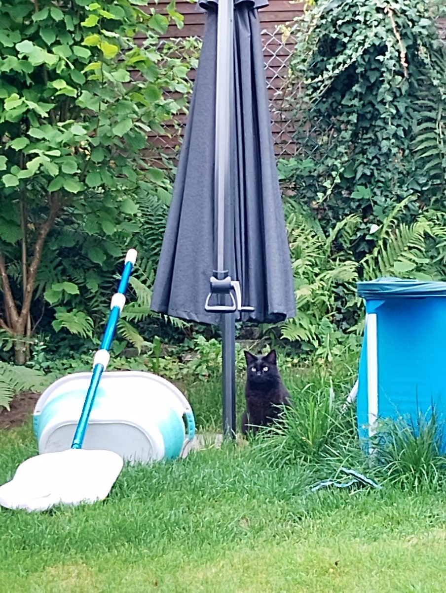 Tammy ist mir heute morgen entwischt