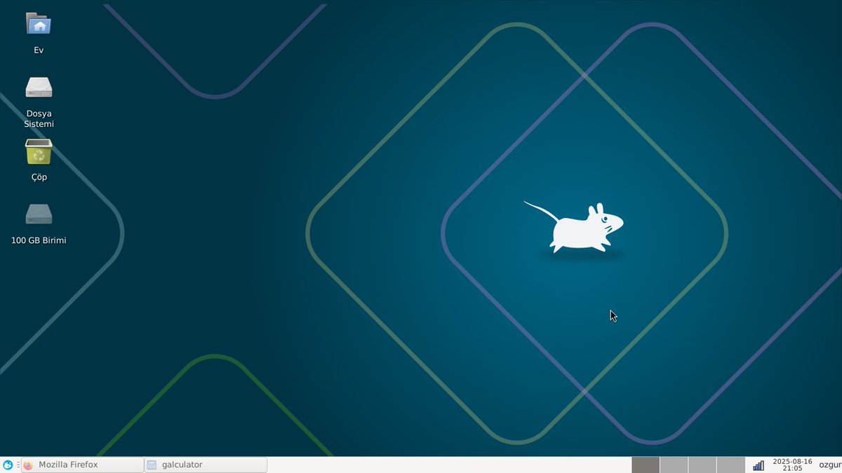 Debian 13 XFCE. Xfce'nin 4.20 versiyonu ile geliyor. Hep derler XFCE artık hafif bir masaüstü ortamı olmaktan çıktı diye ama boşta 500-600MB civarı bellek harcıyor. LXDE  400, LXQT 700 MB civarı bellek harcıyor. E o zaman Xfce hala hafif ve hafifler içinde en tam donanımlı olanı.
