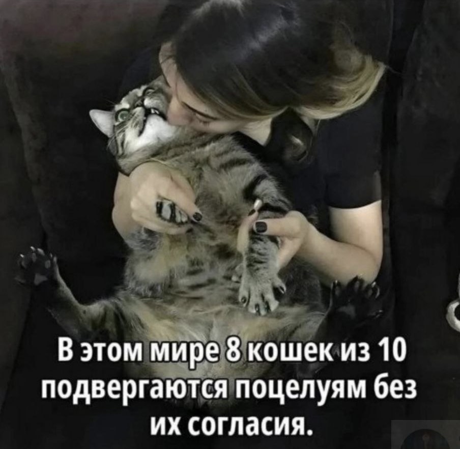 Etnaetoya's tweet photo. Беспредел 😼 https://t.co/eG2cxpGpt0