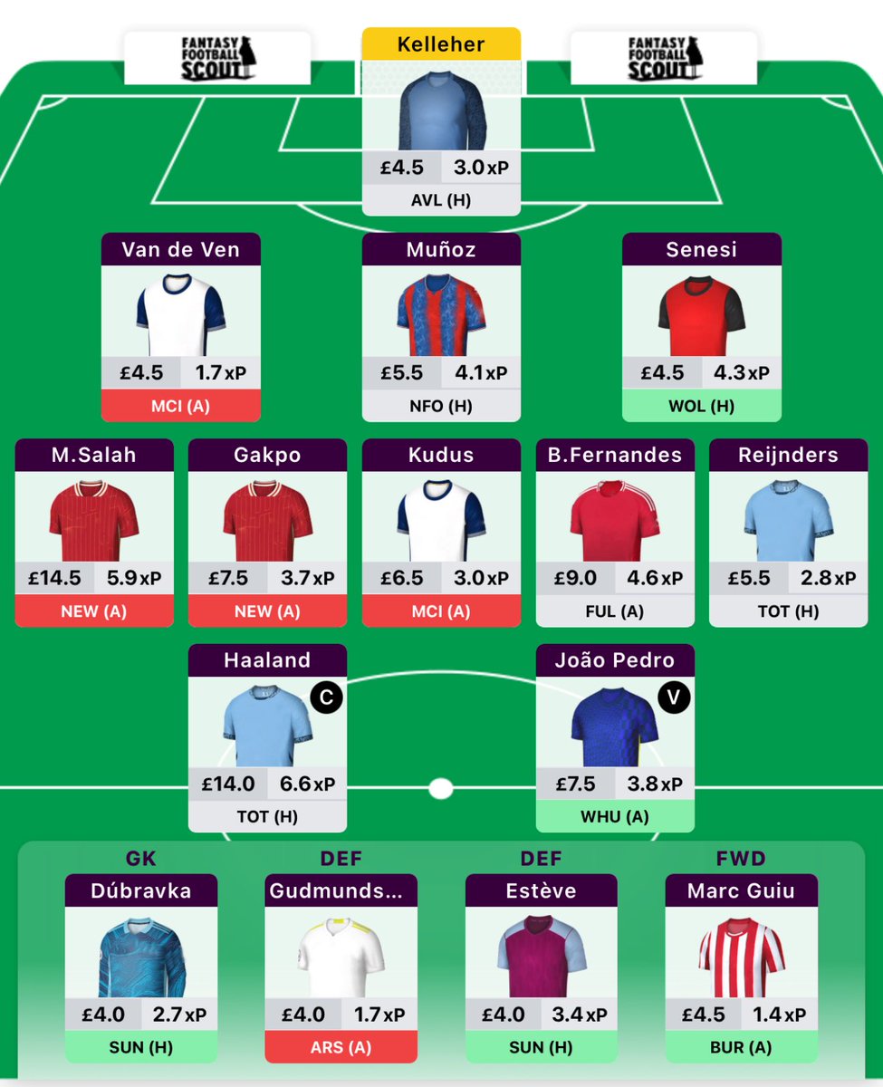 FPL Rookie tweet media