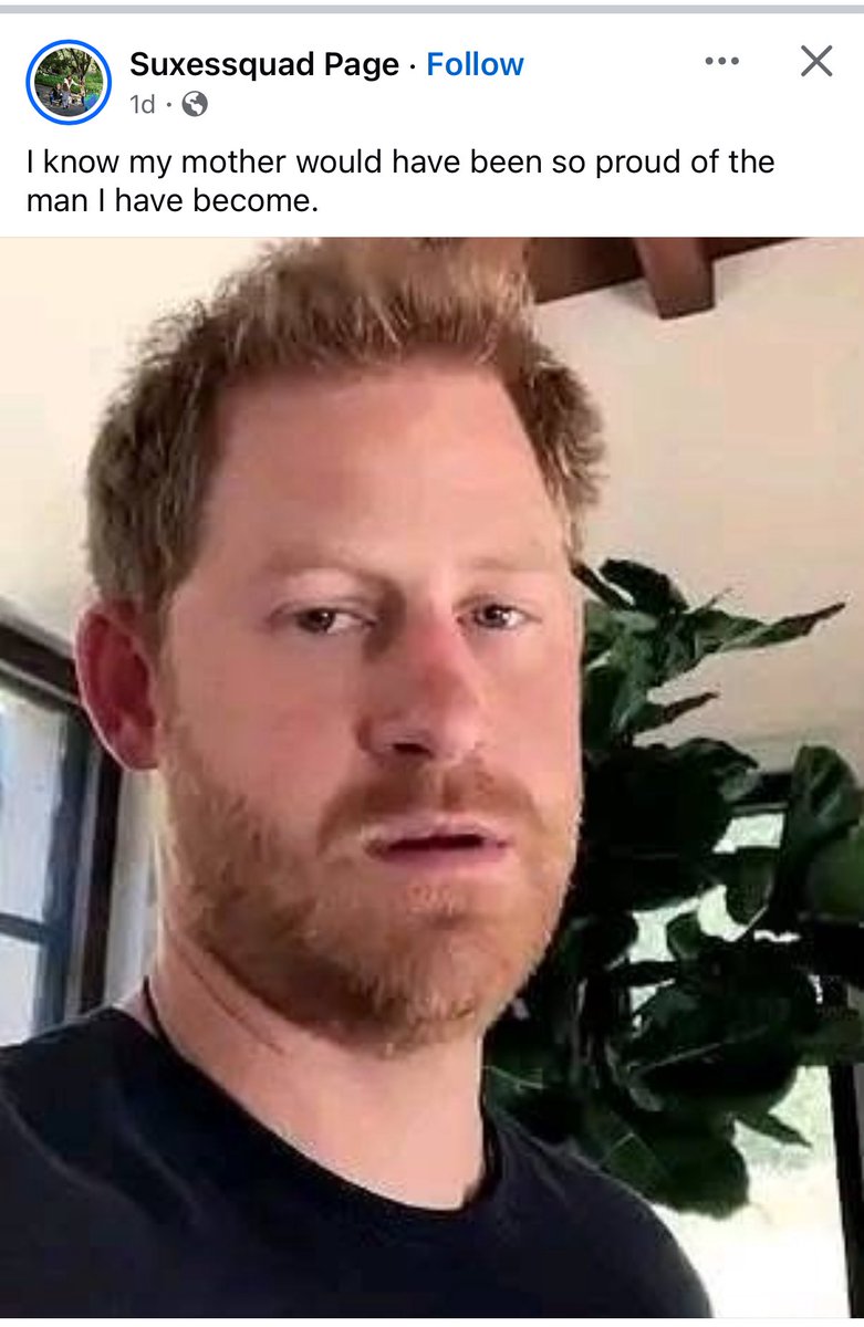 Harry, Meghan’s Spare tweet media
