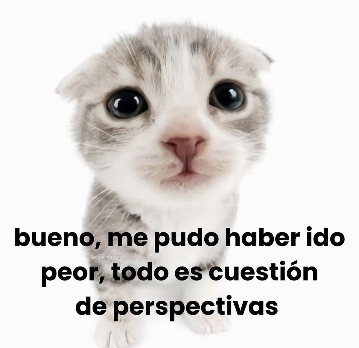 skereunpesado's tweet photo. https://t.co/v0FyF7Gzqf