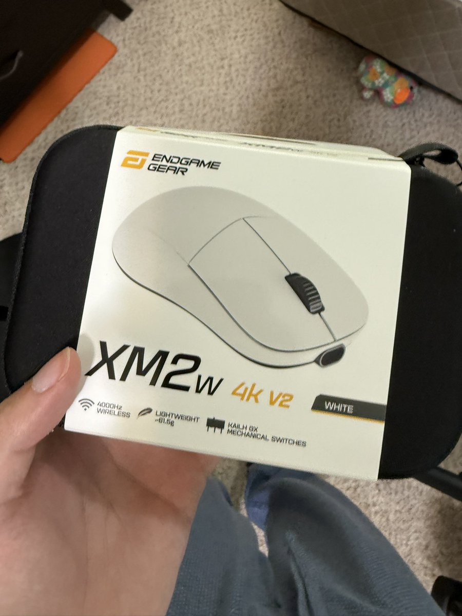 eli 🌊 tweet media