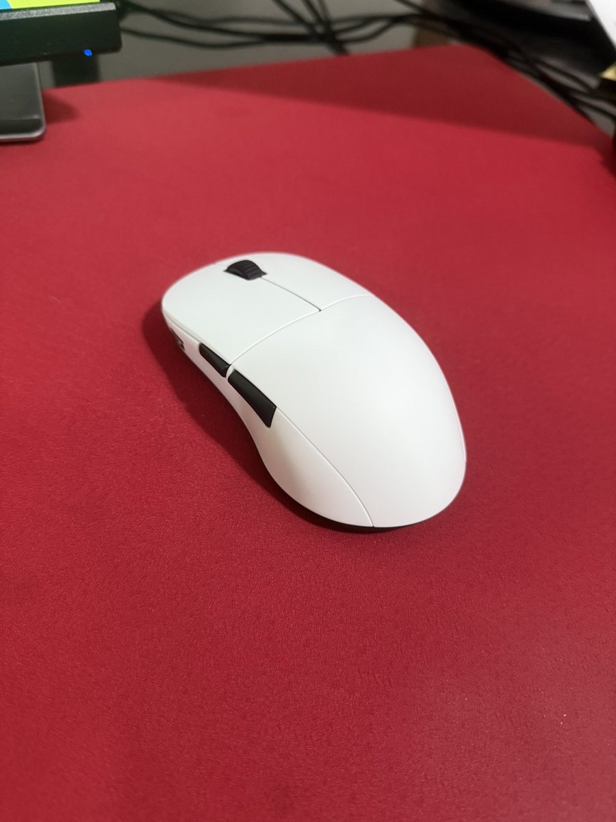 eli 🌊 tweet media