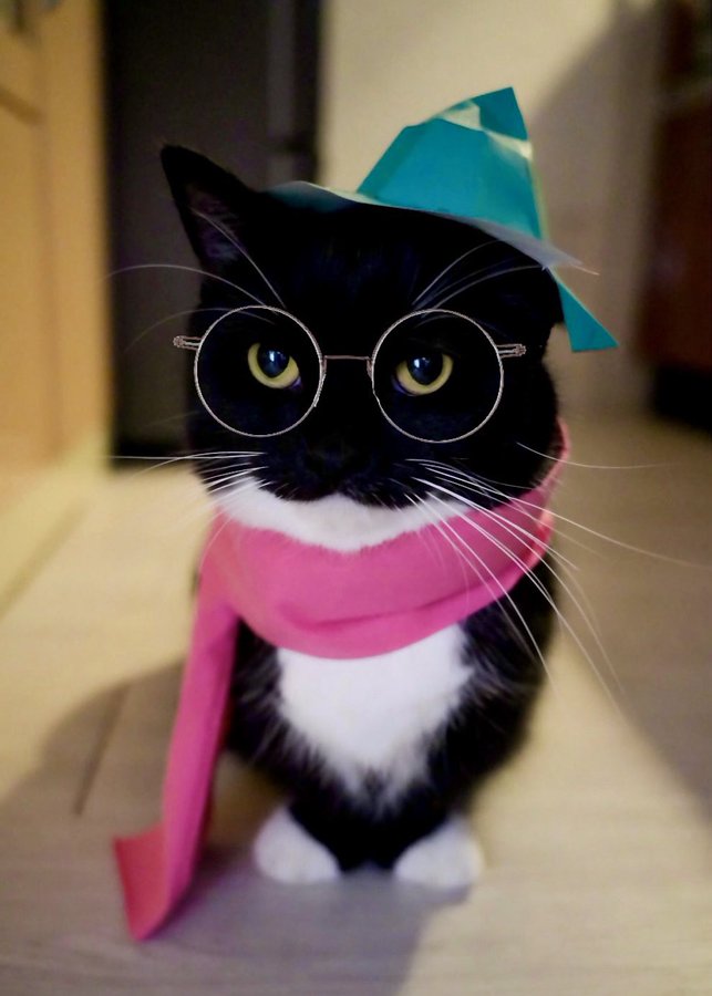 Fuck I’ve been gone for a while, anyhow I’m back!!!