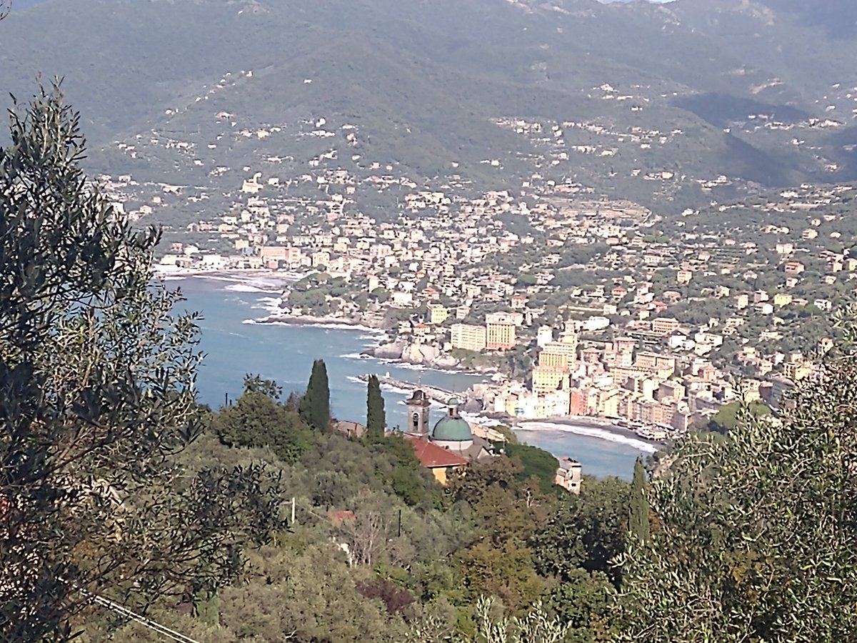 Happy Feast of San Rocco. (Celebrated 9 Sep in Italy). Bdorn in France. Died in Italy 1378. Protector against the plague &amp; communicable diseases.
The tiny church of San Rocco di Camogli down the coast from Genoa a place of beauty, reverence &amp; stunning view.
San Rocco Ora pro