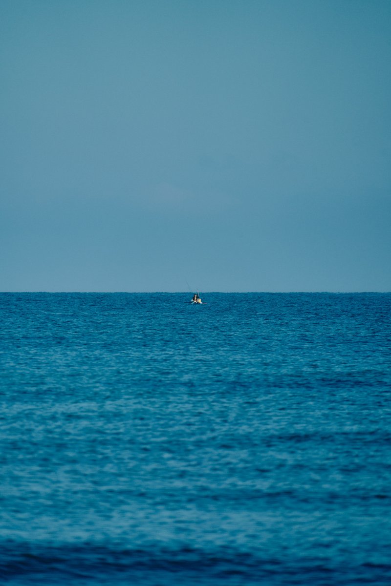 shintake_photo's tweet image. Morning Walk on the Beach