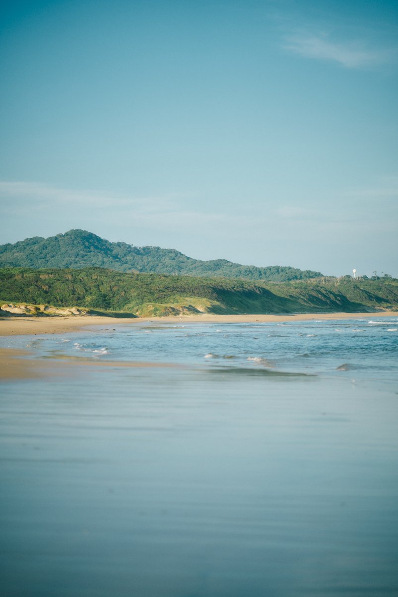 shintake_photo's tweet image. Morning Walk on the Beach