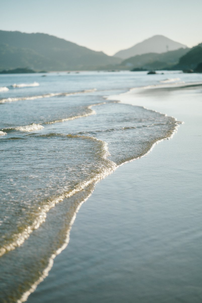 shintake_photo's tweet image. Morning Walk on the Beach