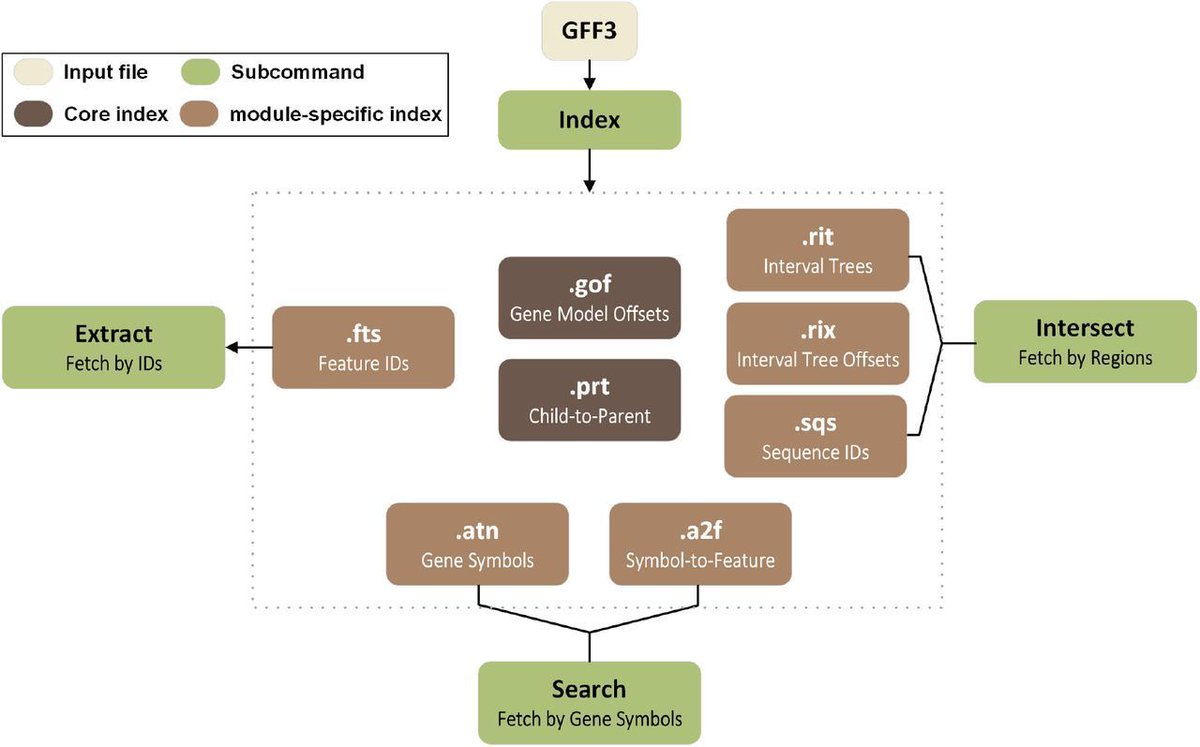 jsantoyo's tweet image. GFFx: A Rust-based suite of utilities for ultra-fast genomic feature extraction. #Genomics #Rust #GenomeAnnotation #GFF #GenomicFeatures @biorxiv_bioinfo 
biorxiv.org/content/10.110…