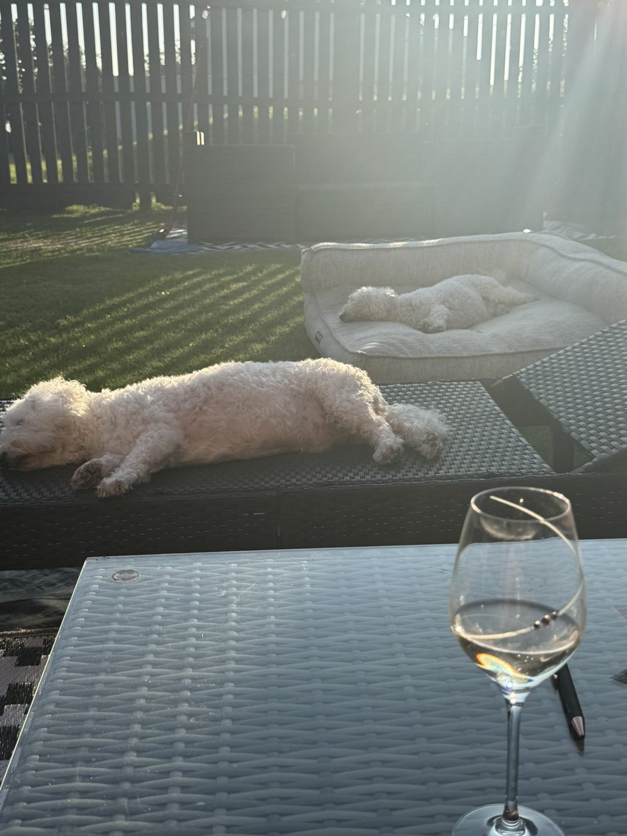 Amanda Nelson (@amanda_awt) on Twitter photo When the doggies have found a comfy spot <a href="/crainie_kevin/">The Scottish Cowboy Darts.</a> When the doggies have found a comfy spot <a href="/crainie_kevin/">The Scottish Cowboy Darts.</a>