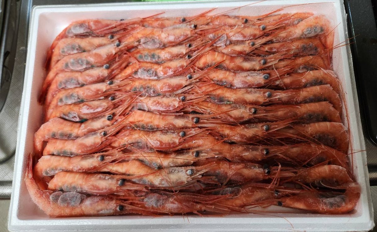 くにまる - Search / X