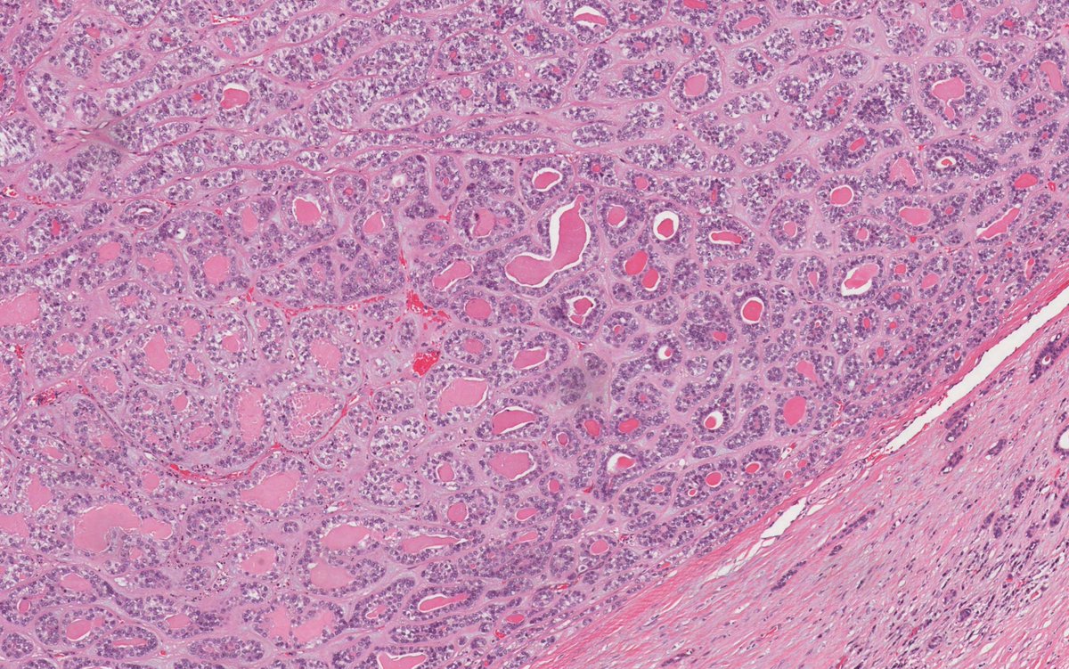 Hassan Khormi tweet media