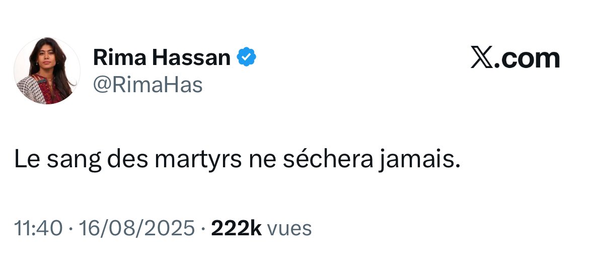 Je ne comprendrai jamais comment une personne qui reprend exactement la même rhétorique que celle du Hamas puisse continuer à siéger au Parlement européen, sans avoir à rendre des comptes devant la justice.

À la fois dingue et consternant.

#JugezRima
