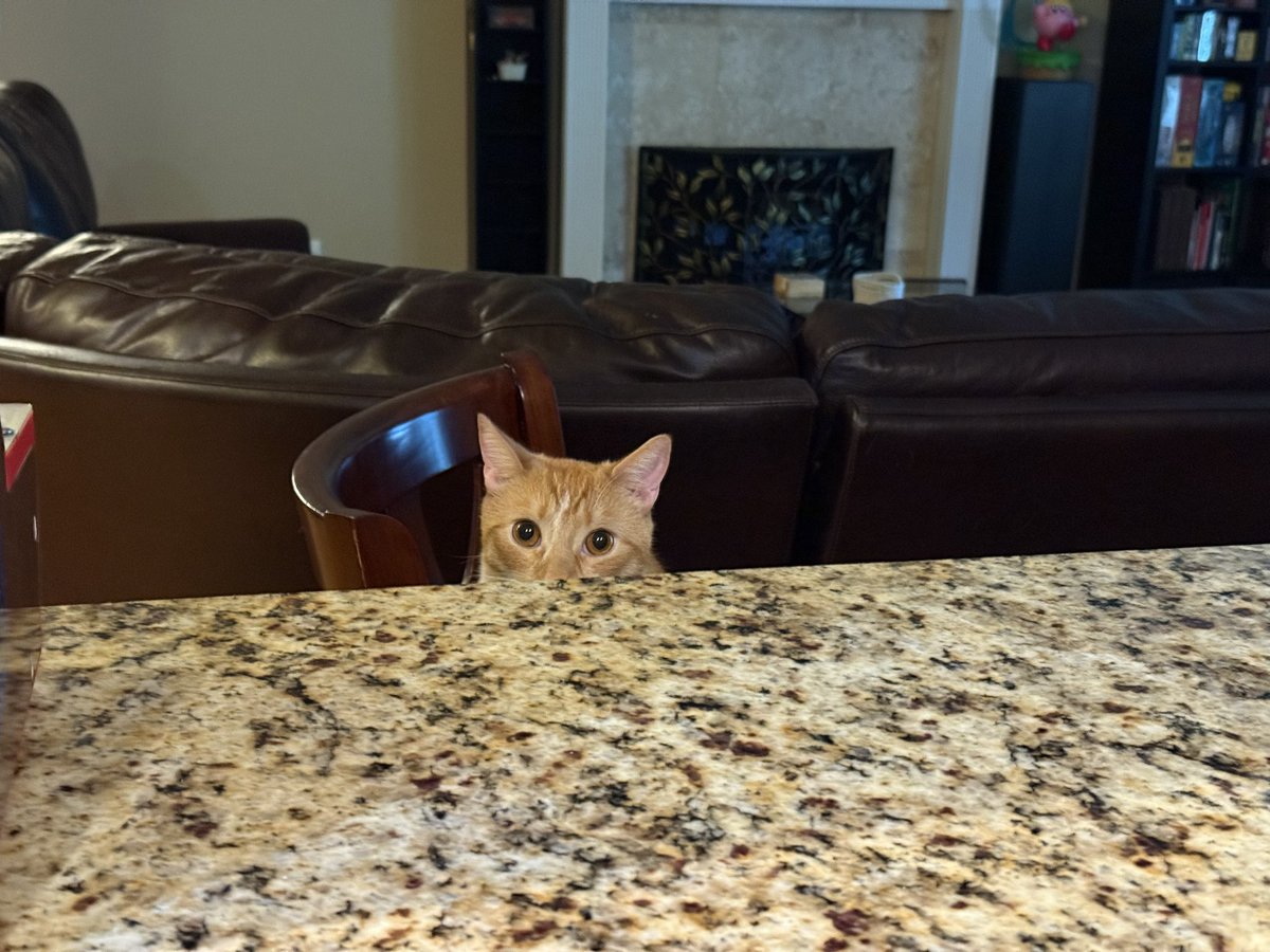 chuggaaconroy's tweet photo. He’s ready to order drinks. https://t.co/XUomRpflI2